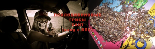 стафф Абаза