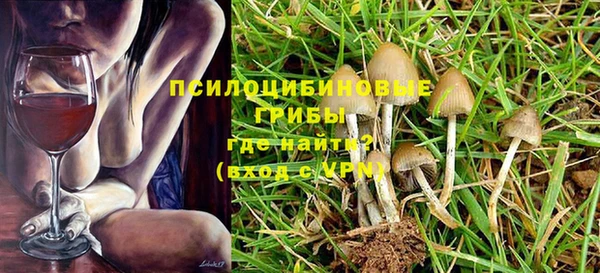 стафф Абаза