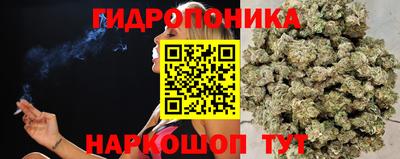 дмт Нарткала