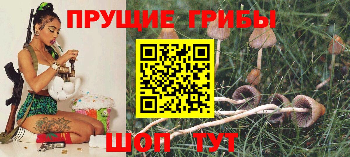 Торжок  Псилоцибиновые грибы мухоморы  Вход с VPN  Галлюциногенные грибы ЛСД 