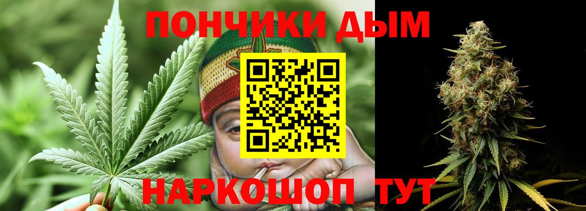 Каннабис конопля Торжок